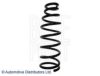 BLUE PRINT ADC488370 Coil Spring